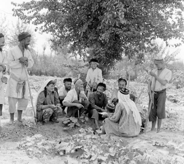 1956年，那位騎著毛驢去北京見毛主席的新疆老農，最後見到了嗎？