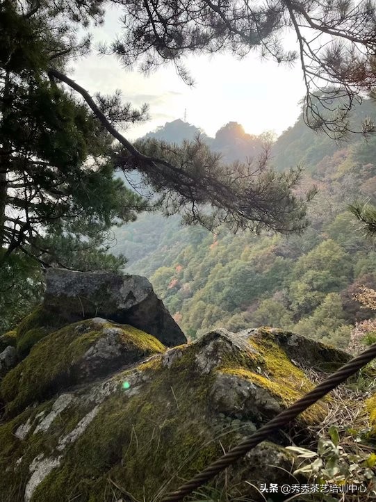 終南隱士精通琴棋書畫，長安雅士擅長詩詞歌賦