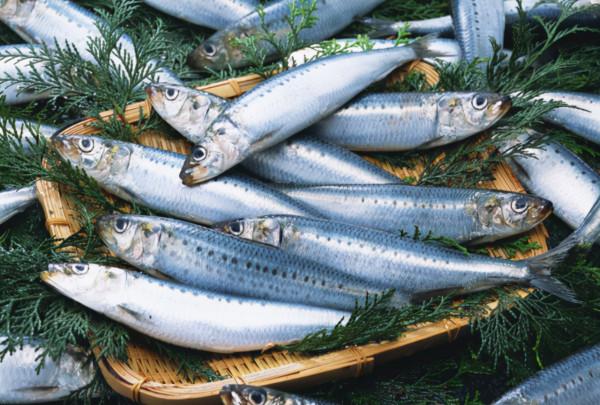 這4種魚請停止食用，或是甲醛和重金屬&OpenCurlyDoubleQuote;攜帶者&rdquo;，瞭解一下