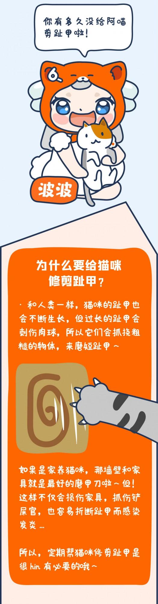 貓咪趾甲尖尖,天天給我抓出“花臂”...羨慕嗎?可疼啦 T^T 貓咪趾甲尖尖,天天給我抓出“花臂”...羨慕嗎?可疼啦 T^T