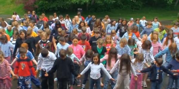 這頭虎鯨成了“萬人迷”，人們不惜罰款10萬，也要去海里和它玩耍