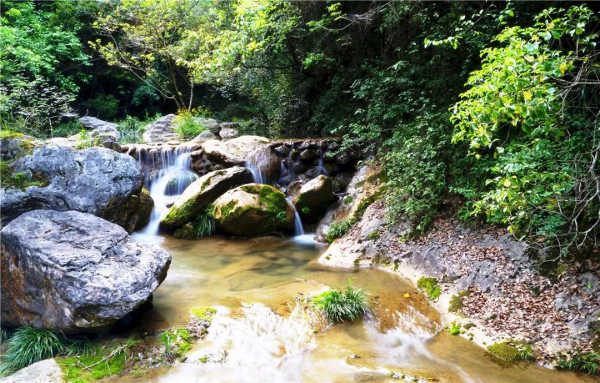 蜀河古鎮:遺落在人間至美的古鎮,是一個你無法錯過的地方 蜀河古鎮:遺落在人間至美的古鎮,是一個你無法錯過的地方