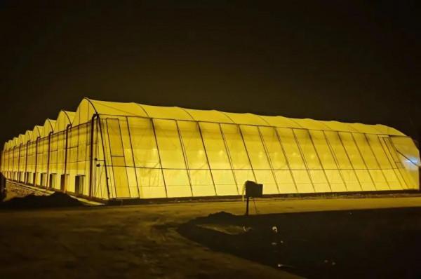 富邦股份（300387）：數字鄉村農村電商，大農業，大資料概念股