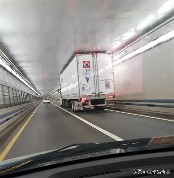 35張“活久見”的完美圖片，強迫症瞬間被治癒了