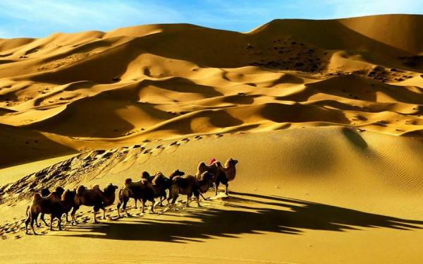 沙漠世界地質公園風光