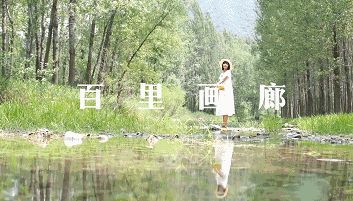 “失業”後去世界浪漫,寶藏90後夫妻旅行博主的1000種撒狗糧方式 “失業”後去世界浪漫,寶藏90後夫妻旅行博主的1000種撒狗糧方式