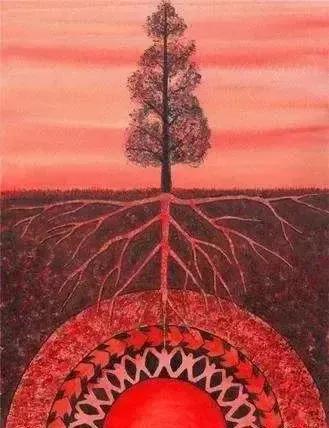 高維肌肉訓練 高維肌肉訓練