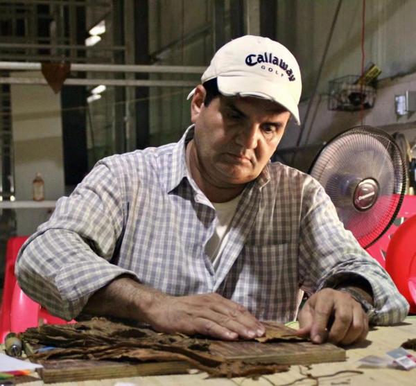 尼加拉瓜種植專家紮根海南只為種出最好雪茄 尼加拉瓜種植專家紮根海南只為種出最好雪茄