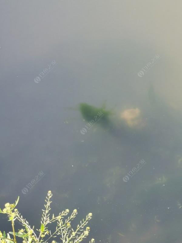 大寨河。。。。。。