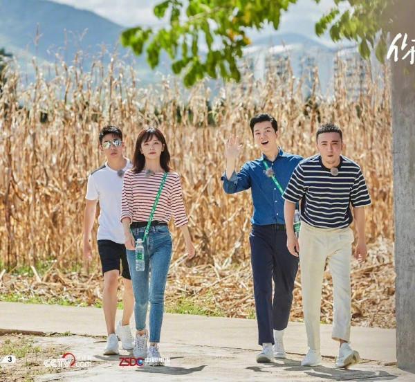 王冰冰成央視頂流！穿T恤拍綜藝人氣爆棚徹底火，更被倪萍誇上天