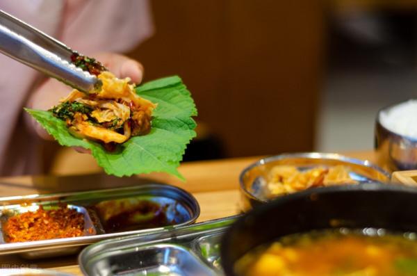 30元1斤，房前屋後撒把種子都能長很好，這種葉子會成為新商機嗎