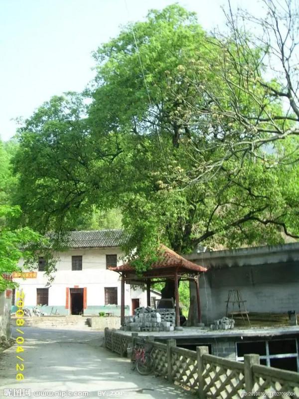 人到中年，50歲的70後，你的人生下半場怎樣安排？活得通透了嗎？