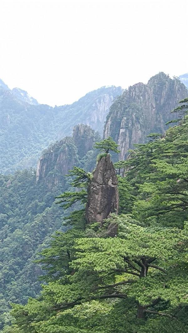 黃山歸來不看嶽，黃山歸來我後悔了