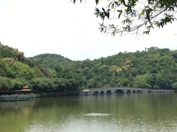 廣東順德十大景點旅遊之一