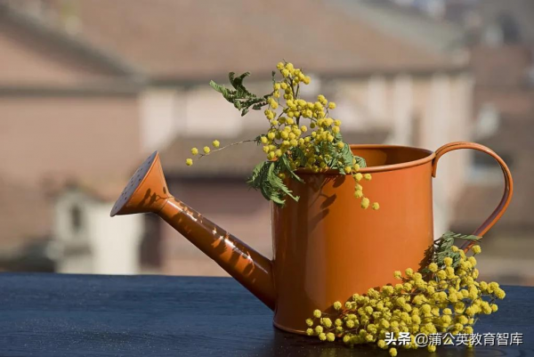 走向“學習型家庭”的11個“行動口令”