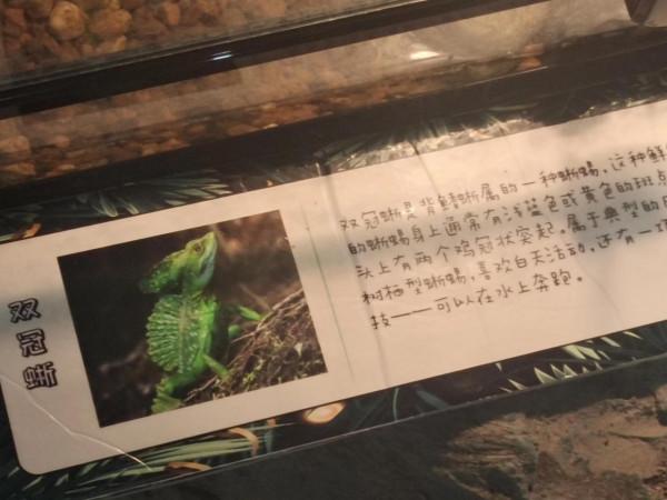 內蒙古科技館一日遊