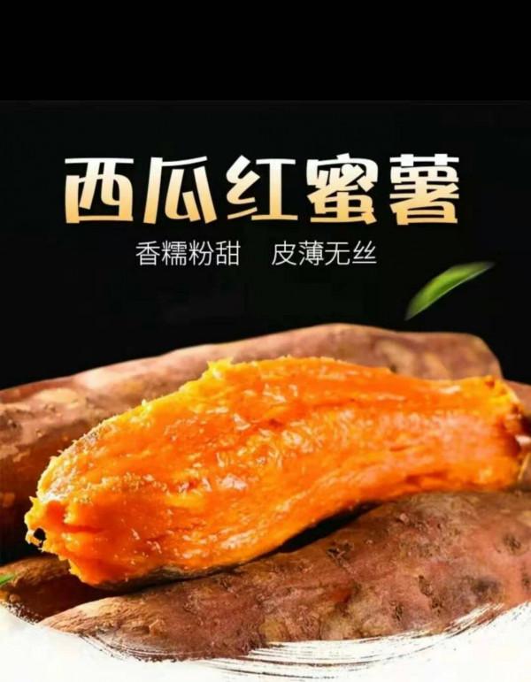 最賺錢的紅薯品種是什麼？資深薯農推薦這三種，誰種誰賺錢