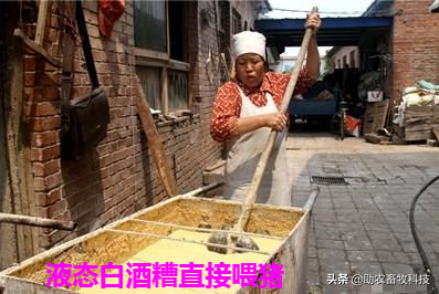 今後只有三種豬場（自有散養豬場）是可以長期保持穩定盈利的