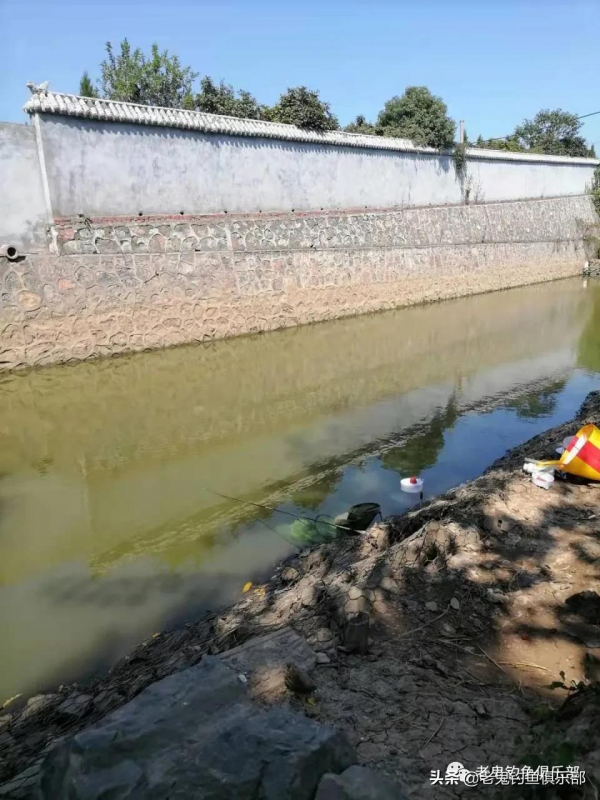 老鬼螺鯉釣鯉魚,yyds 老鬼螺鯉釣鯉魚,yyds