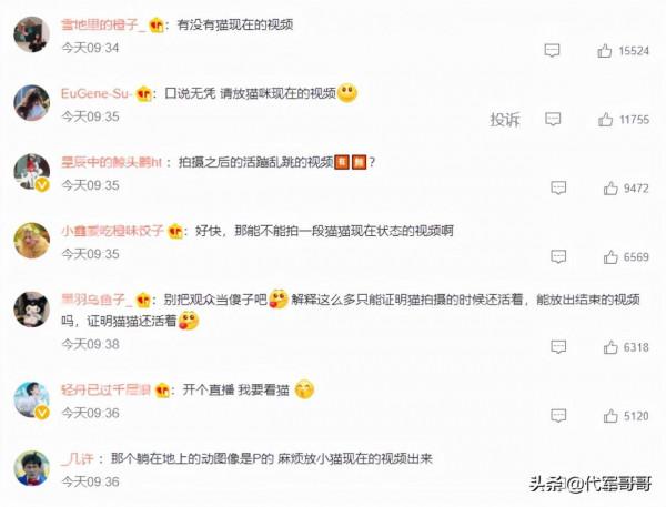 《當家主母》小白貓慘死,劇組發聲明回應,網友為何卻不認同? 《當家主母》小白貓慘死,劇組發聲明回應,網友為何卻不認同?