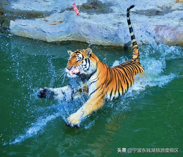 超值二月 歡樂不停 &sol;&sol; 特惠門票、免費遊園、高能福利&period;&period;&period;都在這裡