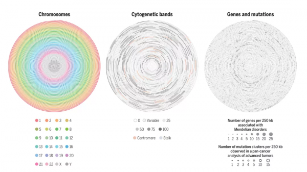 中科院付巧妹團隊登Science特刊,從古DNA中一窺人類演化 中科院付巧妹團隊登Science特刊,從古DNA中一窺人類演化