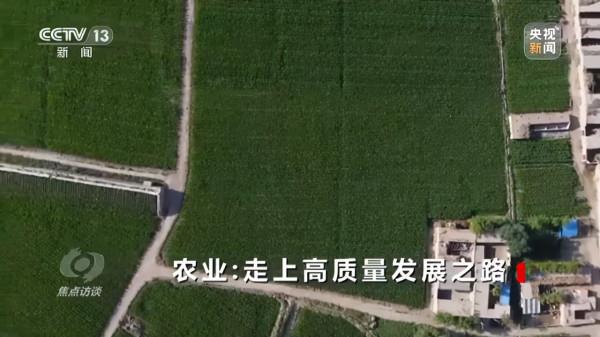 焦點訪談丨農業：走上高質量發展之路