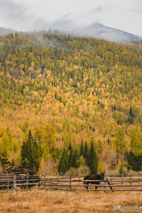 等一個人,陪我去北疆 等一個人,陪我去北疆