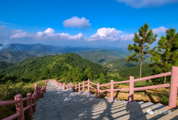 橫州市網紅打卡地助力鄉村振興