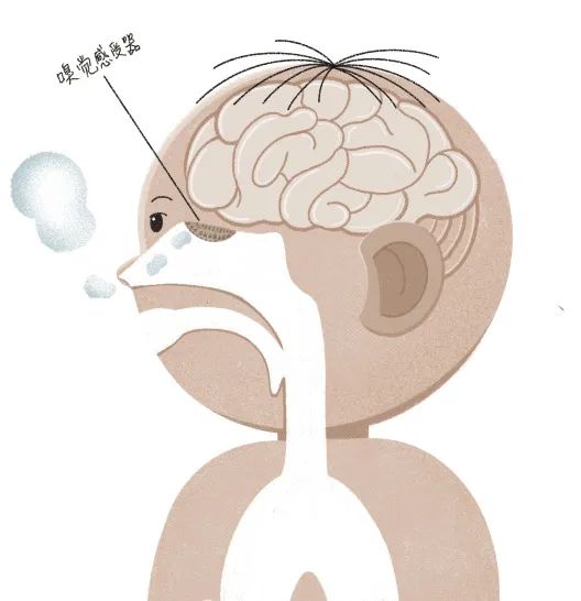 流鼻涕、流鼻血、打噴嚏怎麼辦&period;&period;&period;&period;&period;&period;這些知識孩子應該早點知道【健康幸福過新年】（61）