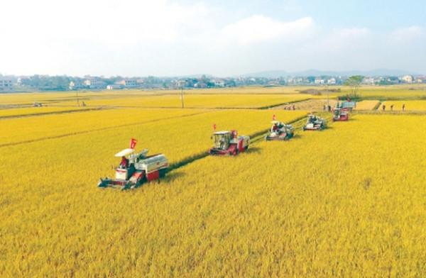 農村又要忙活了，今年農村開始實施&OpenCurlyDoubleQuote;5拆&rdquo;專案？覆蓋多數農村