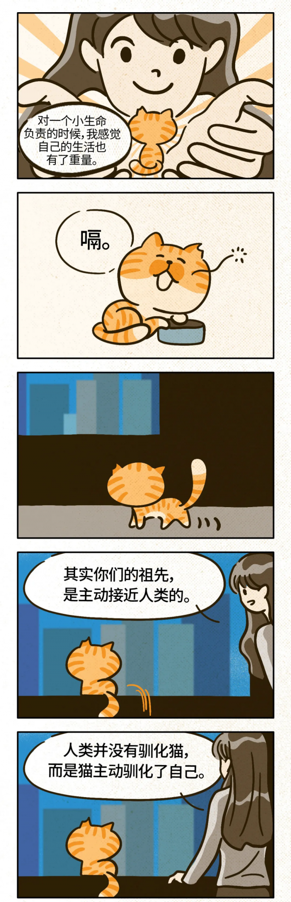 養貓後,人會發生什麼變化? 養貓後,人會發生什麼變化?