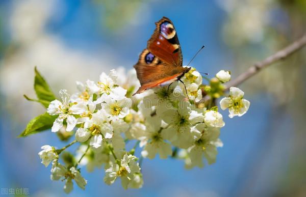 紀念曾經逝去的青春,單眼皮女孩 紀念曾經逝去的青春,單眼皮女孩