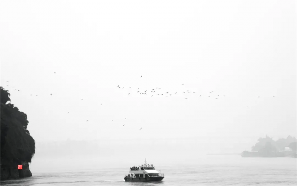 40+張大片!帶你領略這裡的“鳥禽圖鑑”! 40+張大片!帶你領略這裡的“鳥禽圖鑑”!