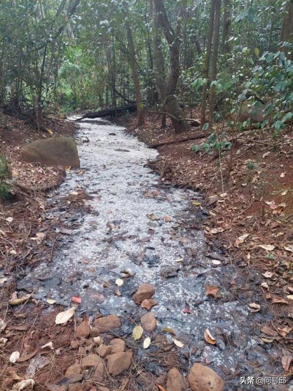 夏威夷旅行者發現一條散發著啤酒氣味的溪流，溪水酒精含量為1.2%