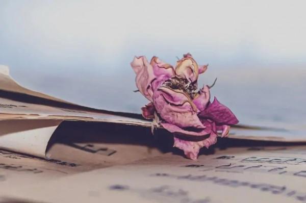 這78句話,教你正確認識自己說出口的語言 這78句話,教你正確認識自己說出口的語言