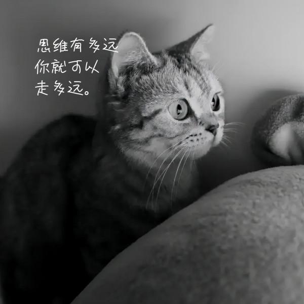 思維的貧窮,比貧窮本身更可怕 思維的貧窮,比貧窮本身更可怕