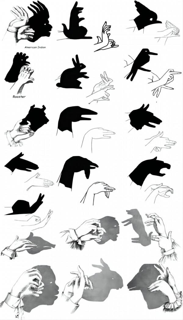 家裡停電了，你還會玩手影遊戲，數星星，找螢火蟲嗎？