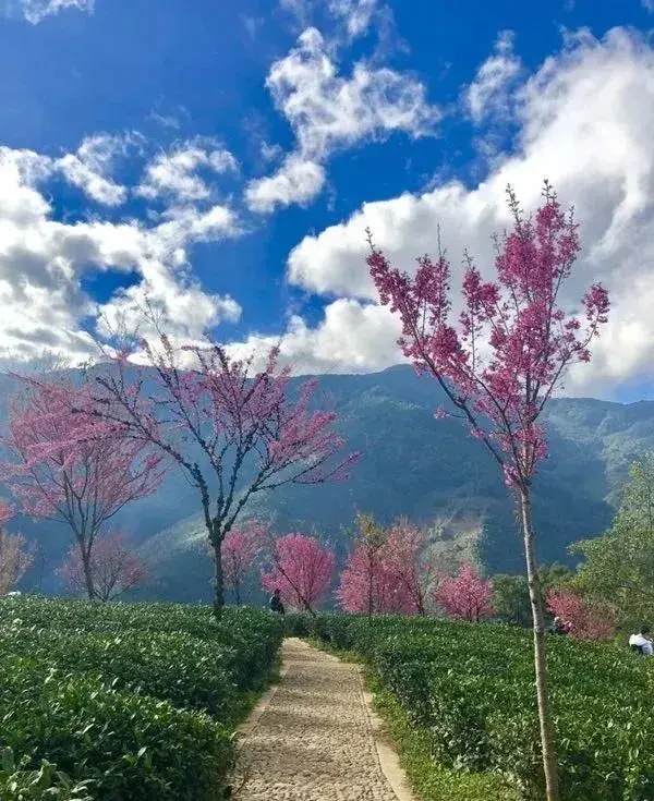 年初的旅行計劃都實現了嗎？這12個地方人少景美，再不去就晚了