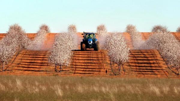 看看世界上都是誰在投資澳大利亞農場？中國有多少份額？
