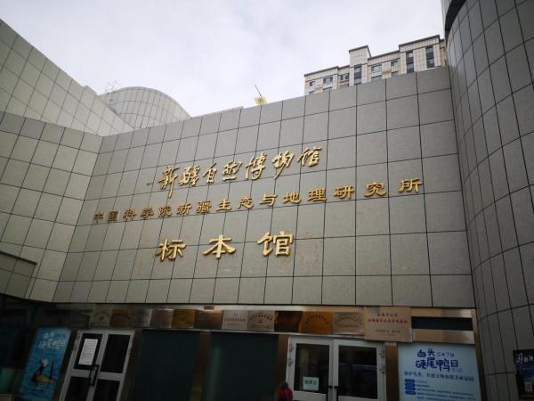 參觀新疆自然博物館