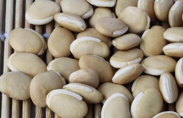 秋季：宜吃果，忌吃瓜，5種“果”經常吃，或能健脾、補氣血