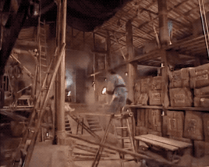 六位動作替身的逆襲,有的轉型成了導演,有的拿獎拿到手軟 六位動作替身的逆襲,有的轉型成了導演,有的拿獎拿到手軟