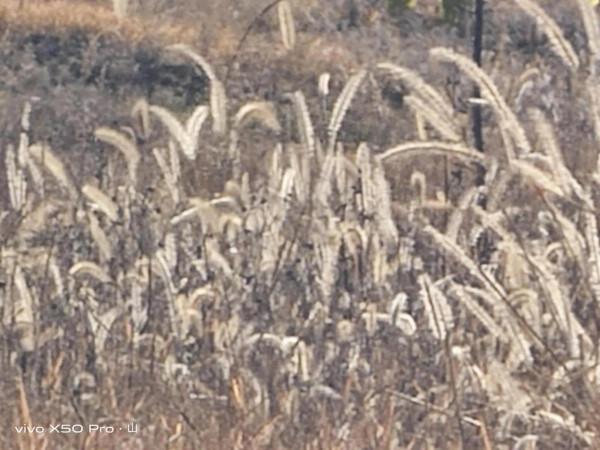 一路走來一路拍，只是想把美景分享給朋友們