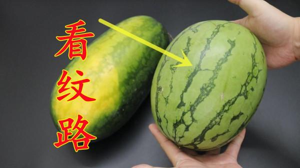 我買西瓜的時候，就看這幾點，西瓜個個又甜又多汁，學學