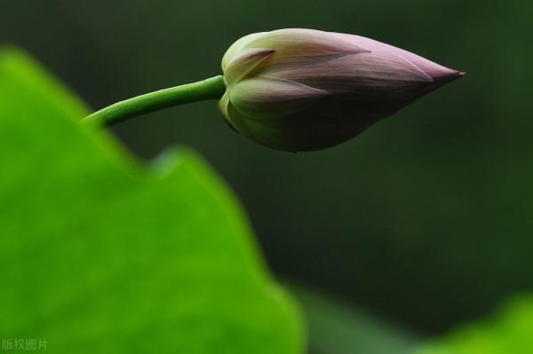 人生，學會悟道，心態也就好了