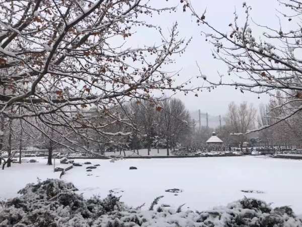 朝陽遊園推薦：北小河公園