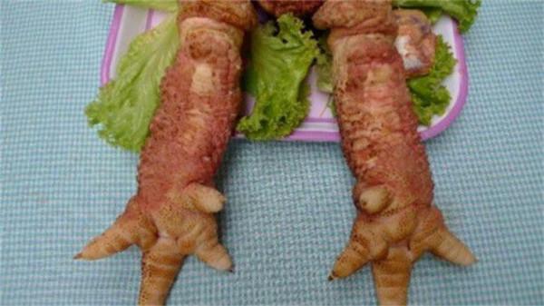 一對雞爪1萬4都拒絕賣,越南東濤雞憑啥這麼貴?我國能引進嗎? 一對雞爪1萬4都拒絕賣,越南東濤雞憑啥這麼貴?我國能引進嗎?