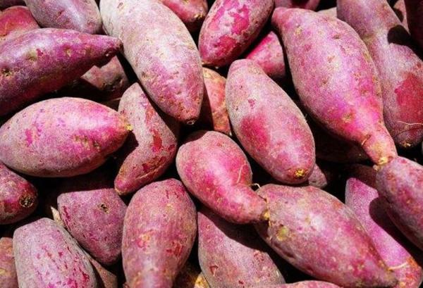 1個紅薯放鍋裡炸一炸，出鍋馬上變成一道快失傳的美食，太香了