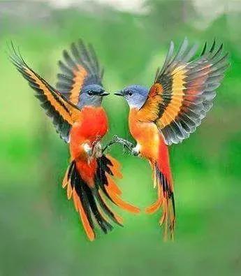 點亮愛的翅膀，帶著你一路飛翔，旅途有你，便是天堂